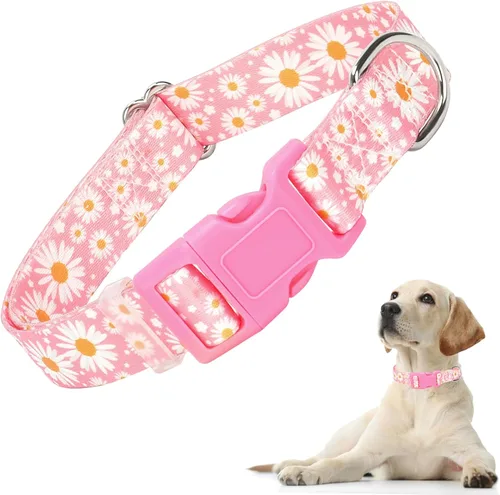 Collares de Perro para Niñas con Patrones de Margaritas, Lindo Collar Rosa para Perras, Collares Ajustables Blandos y Duraderos para Perros XS 12