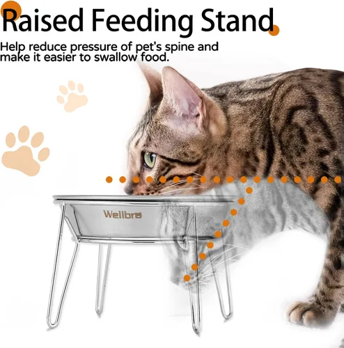 Miniatura 2 de Cuencos elevados para gatos, 5.9 pulgadas de ancho, tazones de comida para gatos de acero inoxidable con soporte de metal sin estrés de bigotes