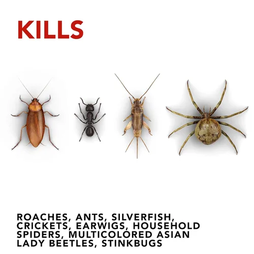 Miniatura 7 de Raid Ant & Roach Killer Aroma limón 17.5 onzas (paquete de 4)