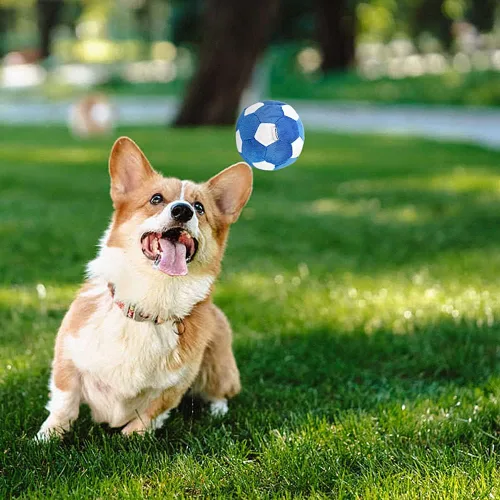 Miniatura 5 de Paquete de 3 pelotas interactivas para perros pequeños y medianos, pelotas de fútbol, fútbol y tenis para perros, rellenas de juguetes esponjosos