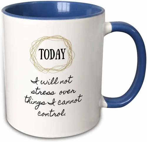 Miniatura 11 de 3dRose Image of Today I Will Not Stress Over Things I Cannot Control - Taza negra de dos tonos de 11 oz