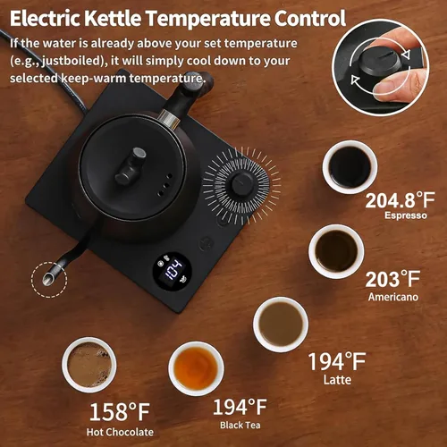 Miniatura 2 de Hervidor Eléctrico de Agua, Hervidor Eléctrico de Cuello de Cisne con Filtro de Café de 50 Piezas, Control de Temperatura ±1℉, Calentamiento Rápido