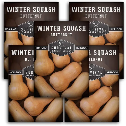 Semillas de calabaza Butternut para plantar - Semillas de vegetales tradicionales no transgénicos - Cultivo de alto rendimiento y fácil de cultivar