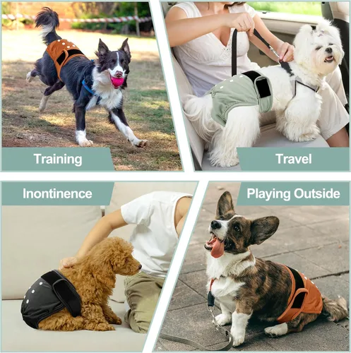 Miniatura 118 de Pañales lavables para perros, para hembras caninas, reutilizables, para periodo de celo, altamente absorbentes, para incontinencia, con broches