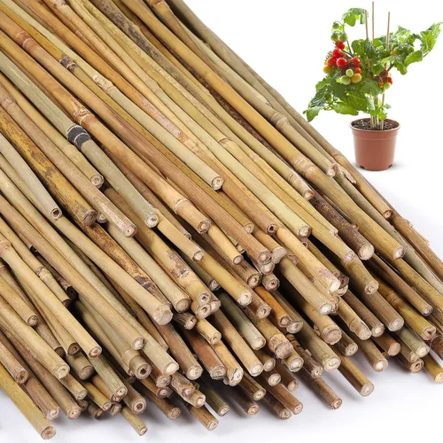 Miniatura 12 de Suclain Juego de 100 estacas de bambú para plantas trepadoras, estacas de bambú resistentes para plantas trepadoras, tomates, frijoles, flores
