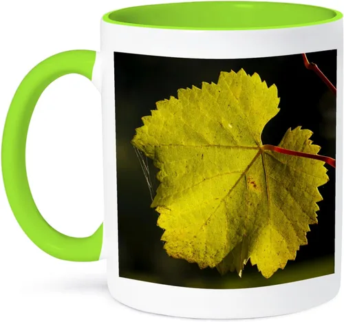 Miniatura 8 de 3dRose Estados Unidos, Oregon, Keizer, Pinot Gris hoja de viñedo - US38 RBR0742 - Rick A Brown 11oz taza negra de dos tonos