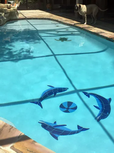 Miniatura 6 de Playing Dolphins - Mosaico de cerámica para piscina, color azul, 48 x 48 pulgadas