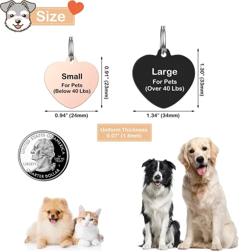 Miniatura 2 de Etiquetas de perro de acero inoxidable para mascotas, etiquetas grabadas de doble cara para perros y gatos, etiqueta de identificación personalizada