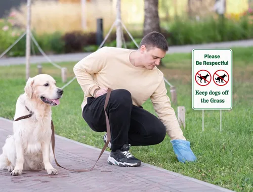 Miniatura 4 de WhatSign Letrero de perro con estacas de doble cara de 8 x 12 pulgadas, con estacas "Please Pick Up After Your Dog