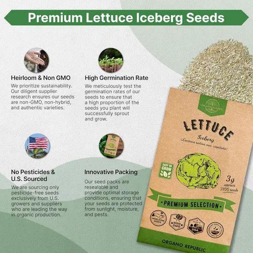 Miniatura 6 de Organo Republic Paquete de Semillas de Lechuga Hoja de Roble 1 G - Más de 800 Semillas de Lechuga Reliquia Sin OMG para Plantar Verduras en Paquete