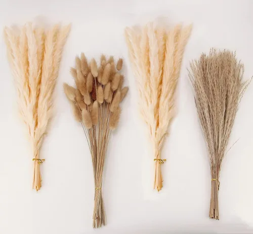 Miniatura 8 de Decoración de hierba de pampa seca natural, 100 piezas de hierba de pampa que contiene colas de conejo blancas flores secas, ramo de hierba de caña