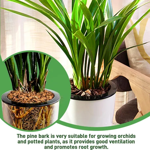 Miniatura 4 de Corteza orgánica para macetas de orquídeas de 3 cuartos - Mantillo natural para plantas en maceta, desarrollo de raíces de plantas de orquídeas