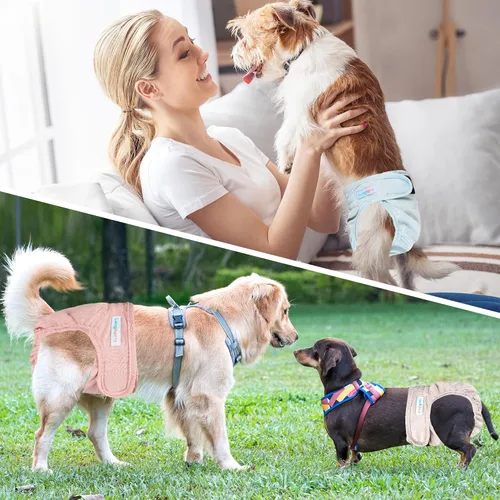 Miniatura 5 de Langsprit Pañales lavables para perra (paquete de 3) - Sin fugas, reutilizables, para perritas en período, bragas altamente absorbentes para calor