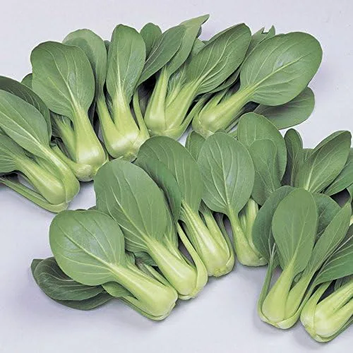 Miniatura 4 de Park Seed Variedad de semillas de vegetales Bok Choy (Pak Choi), semillas de plantas, fáciles de cultivar, perfectas para jardín de primavera, Joi