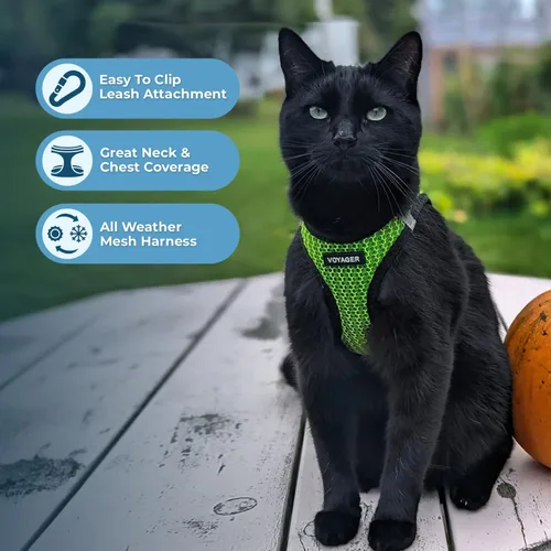 Miniatura 3 de Best Pet Supplies - Arnés de malla para todo tipo de clima, reflectante, antitirones, para perro y gato pequeño y mediano, con cierre de velcro