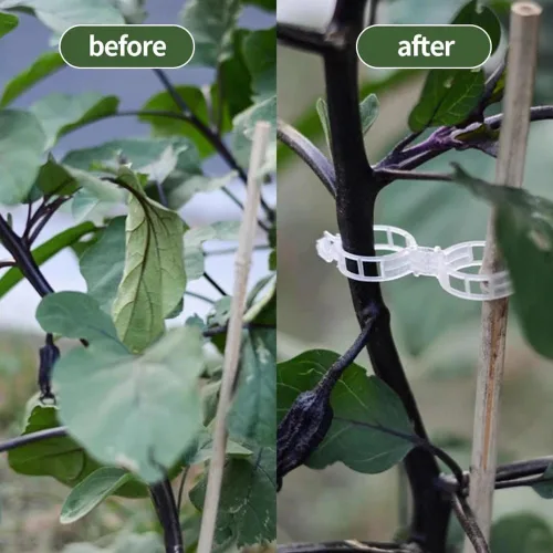 Miniatura 3 de Clips de soporte para plantas, clips de jardín reutilizables, clips de plástico para tomate, vid y uva para cuerdas, clips para plantas trepadoras