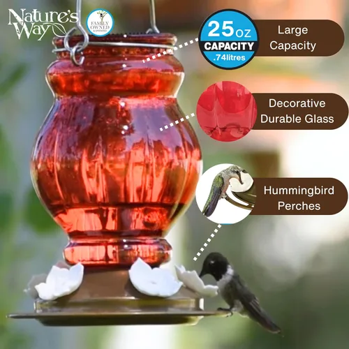 Miniatura 3 de Nature's Way Comedero colgante de vidrio para colibríes para decoración al aire libre, alimentador de néctar de capacidad de 25 onzas, 5 puertos