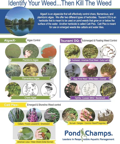Miniatura 8 de Blue Lake and Pond Dye - Un galón de tinte profesional para lago y estanque, trata hasta 1 acre, color azul real, seguro para peces, vida silvestre