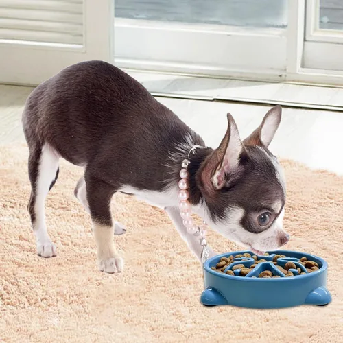 Miniatura 8 de VANNON Paquete de 2 cuencos de alimentación lenta para perros, cuencos antideslizantes y duraderos para cachorros y perros pequeños, sin BPA, 1 taza