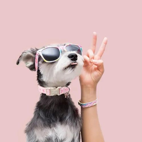 Miniatura 6 de Collar para perras gigantes grandes, collar de cachorro de primavera y verano con bonito estampado de lazo rosa a cuadros y lazo, collares suaves