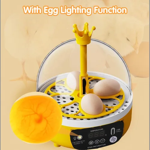 Miniatura 8 de Tissting Mini incubadora de 4 huevos con tapa transparente, control automático de humedad de temperatura de 7 W, máquina de incubación de aves