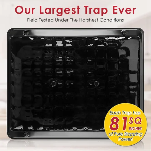 Miniatura 5 de Qualirey - Paquete de 8 trampas grandes de pegamento para ratas y ratones, 11.8 X 9.84 pulgadas, trampas grandes y resistentes para ratones