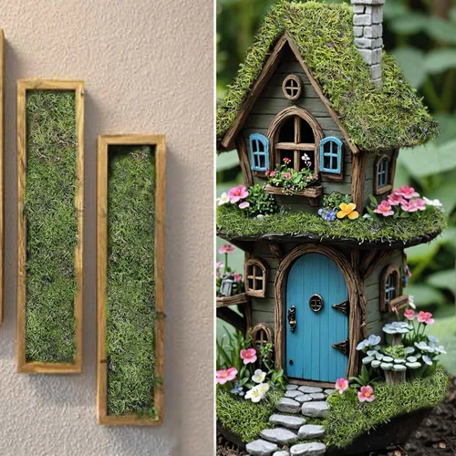 Miniatura 7 de Musgo preservado para manualidades, plantas en maceta, 2 pies cuadrados, tapete de musgo preservado natural seco para macetas, manualidades