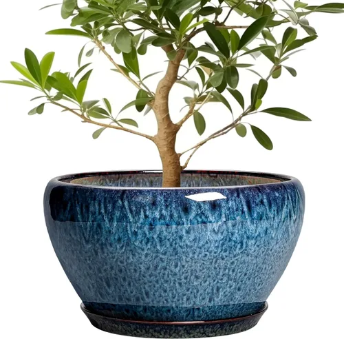 Miniatura 23 de Maceta de Cerámica Moderna con Esmalte para Suculentas con Agujero de Drenaje y Platillo, Maceta Redonda de 6 Pulgadas para Plantas de Flores