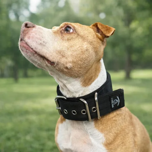 Miniatura 5 de SparkDog - Collar acolchado para perro, 2 pulgadas de ancho, nailon de 4 capas, correas para cinturón de seguridad, accesorios de acero inoxidable