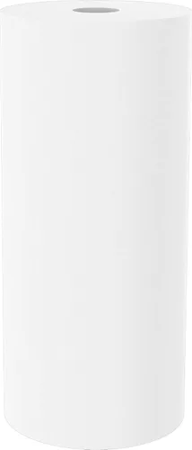 Miniatura 2 de Pentair OMNIFilter RS18 Filtro de agua para sedimentos, 10 pulgadas, cartucho de repuesto de polipropileno hilado resistente para toda la casa, 10 x