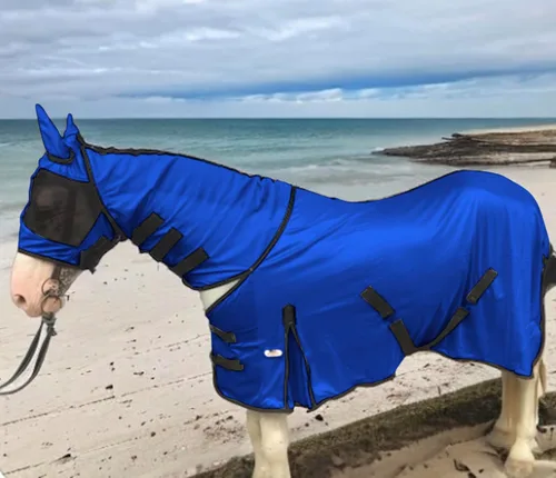 Miniatura 10 de Majestic Ally Sábana para mosca de caballo con cubierta para el cuello y máscara para la cabeza, protección transpirable contra los rayos UV