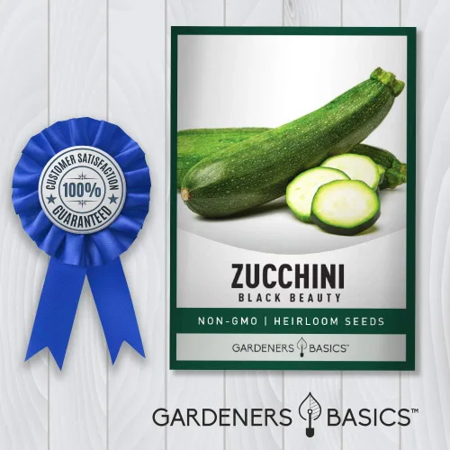 Miniatura 6 de Gardeners Basics, Semillas de calabacín para plantar, reliquia verde de belleza negra, variedad de calabaza de verano sin OMG, semillas de 0.11