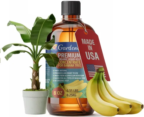 Miniatura 57 de GARDENERA Superalimento orgánico prémium de algas marinas y algas marinas para plantas AGLAONEMA, 8 onzas, concentrado de fertilizante líquido