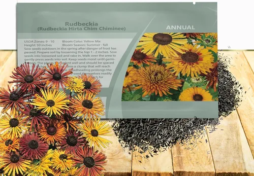 Outsidepride Chim Chiminee Rudbeckia Seeds - 100 unidades. Semillas de flores perennes, fáciles de cultivar y auto-siembradas para plantar flores
