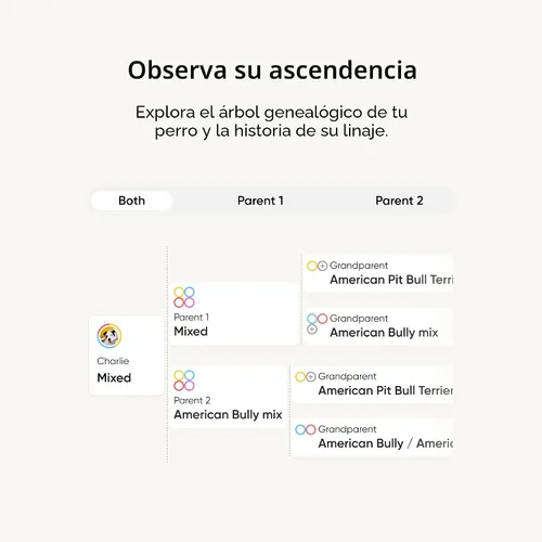 Miniatura 4 de Kit de identificación de raza Embark - Kit de prueba de ADN para perros más preciso - 99% de precisión en la ascendencia de raza para perros de raza