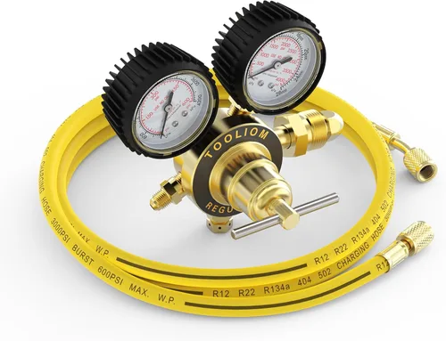 TOOLIOM Regulador de nitrógeno con manguera de 6 pies 7 pulgadas CGA580 conexión de entrada, 0-600 PSI y presión de salida de 0-4000 PSI, mango de