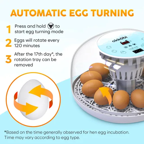 Miniatura 5 de Incubadoras M12 para incubar huevos - Incubadora de huevos con girador automático y control de humedad - 12/24 huevos - Incubadora de Huevos de Azul