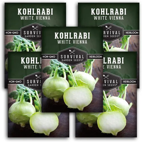 Miniatura 11 de Survival Garden Seeds - Semilla de colinabo blanco de Viena para plantar - Paquete con instrucciones para plantar y cultivar verduras crucíferas