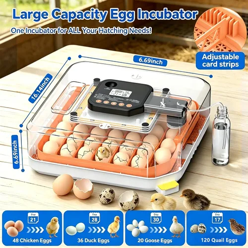 Miniatura 6 de Incubadora de 48 huevos con girador automático, control digital de temperatura y humedad, vela de huevos incorporada, recarga de agua externa