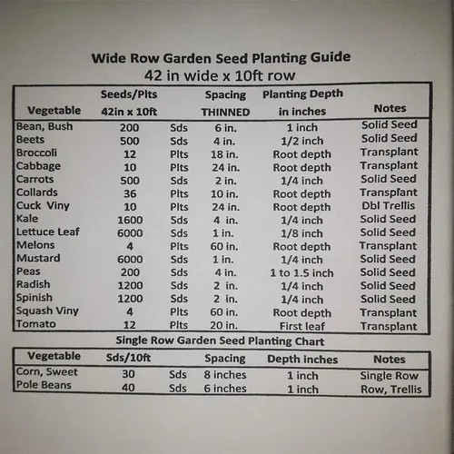 Miniatura 4 de PAPAW'S GARDEN SUPPLY LLC. Hatch Valley - Semillas de pimiento picante de jalapeño amarillo cultivadas en Hatch Valley, sin OMG, 1 paquete de 20