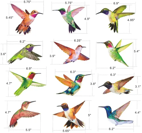 Miniatura 2 de Calcomanías anticolisión para ventana de alerta de pájaros, para evitar golpes de pájaros en el cristal de la ventana, juego de 12 colibríes