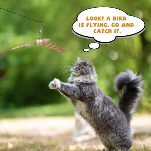 Miniatura 6 de JXFUKAL Juguetes de varita para gatos, juguetes interactivos para gatos con 3 recargas de plumas, alambre de acero flexible de 29'', mango de madera