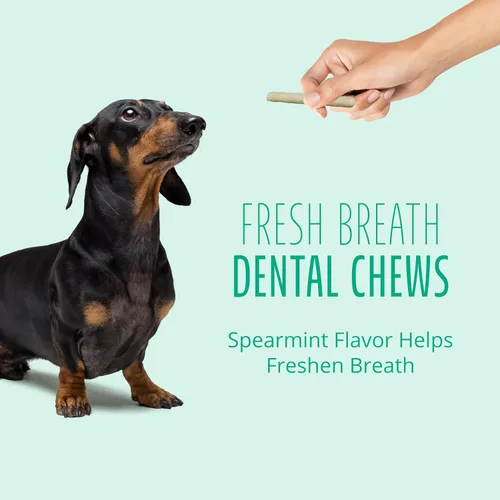 Miniatura 5 de Better Belly Fresh Breath - Rollos pequeños dentales, masticables para perros, pequeños, 10