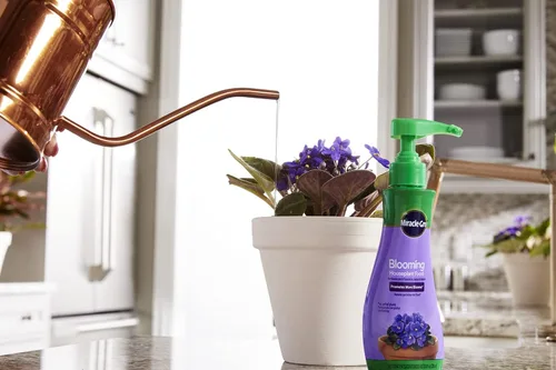 Miniatura 6 de Miracle-Gro Blooming Houseplant Food, fertilizante para plantas, 8 onzas (paquete de 6)