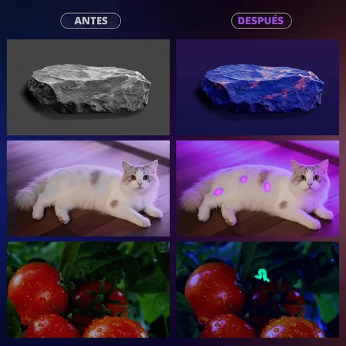 Miniatura 6 de TrixHub Linterna de luz negra de 365 nm, linterna UV recargable con pantalla LCD, potentes luces ultravioleta para detección de orina de mascotas