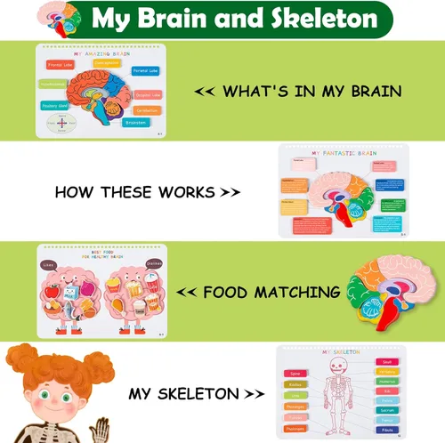 Miniatura 3 de Freebear Libro Ocupado Montessori para Niños, Libro de Anatomía del Cuerpo Humano para Niños Pequeños, Actividades de Aprendizaje Preescolar