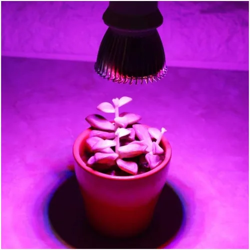 Miniatura 5 de FastUU Lámpara de cultivo, desde la siembra hasta la cosecha de la planta crece la luz, para invernadero hidropónico para caja de cultivo pequeña