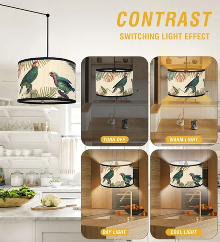 Miniatura 6 de Bioaqua - Lámpara colgante de bambú con cable enchufable (15 pies), lámpara colgante de macramé estilo bohemio con patrón, luces colgantes bohemias