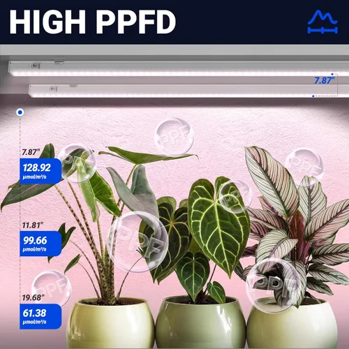 Miniatura 3 de Barrina Luces de crecimiento T5, espectro completo, 4 pies 160 W (8 x 20 W, equivalente a 1000 W), bombillas LED de crecimiento, luces de plantas