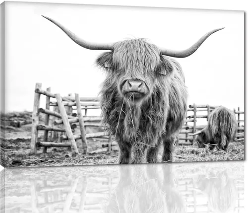 Miniatura 18 de Póster moderno de pared de vaca de las tierras altas, póster impreso en lienzo alpino desierto, decoración de pared de animales para sala de estar